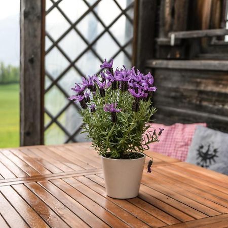 Villa Haus Prantl Gallzein Esterno foto
