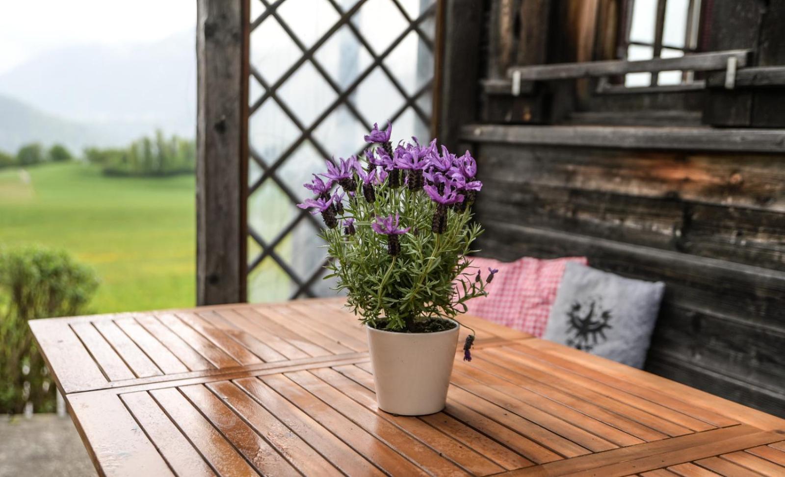 Villa Haus Prantl Gallzein Esterno foto